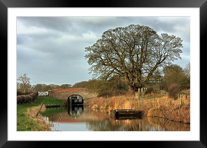 Kenet and Avon Canal Framed Mounted Print by Tony Bates