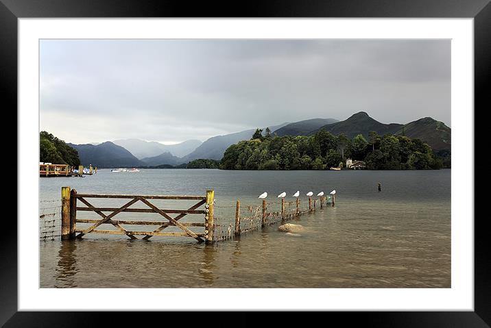 Derwent water Framed Mounted Print by Tony Bates