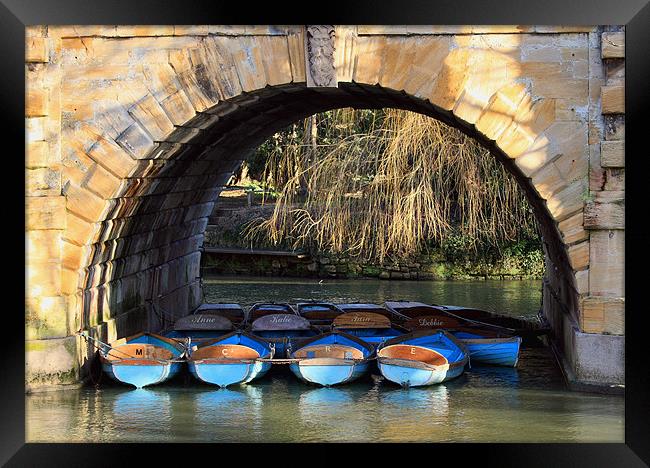 oxford rowing boats Framed Print by Tony Bates