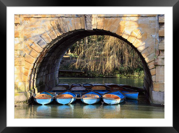 oxford rowing boats Framed Mounted Print by Tony Bates