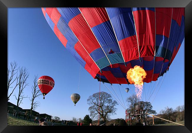 Hot air balloon Framed Print by Tony Bates