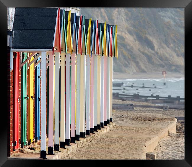 Swanage beach huts Framed Print by Tony Bates