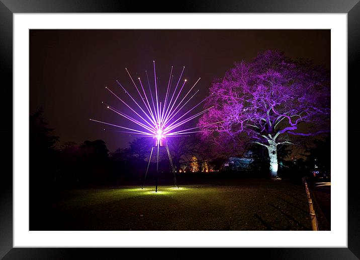  Kew Christmas Lights Framed Mounted Print by Tony Bates