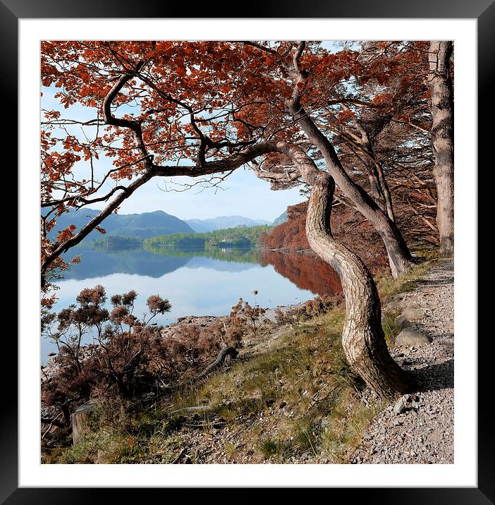  Derwent water Cumbria Framed Mounted Print by Tony Bates