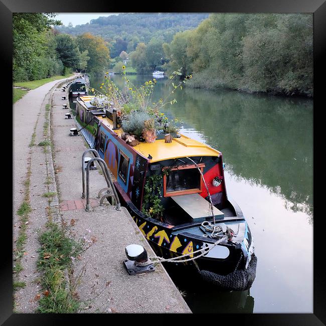  Thames narrow boat at Goring. Framed Print by Tony Bates