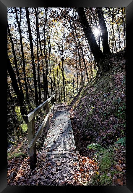  Brecon footpath Framed Print by Tony Bates