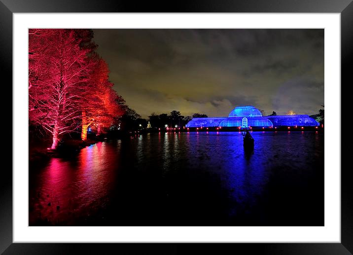   Kew Botanical gardens and palm house at night Framed Mounted Print by Tony Bates