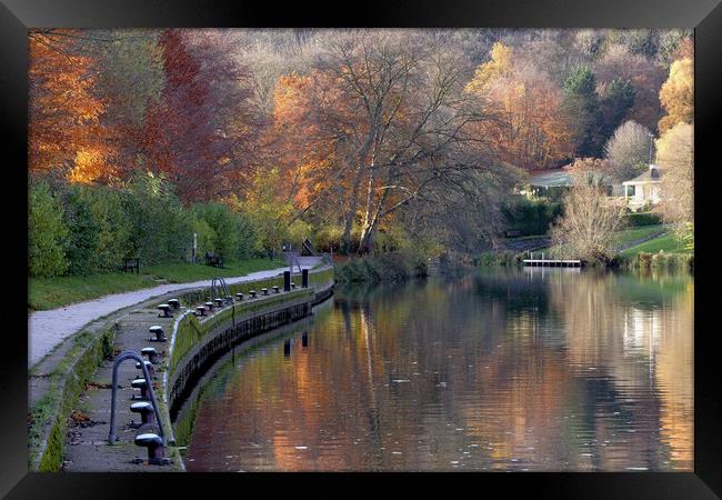 River Thames at Goring Framed Print by Tony Bates