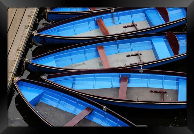 Stratford upon Avon Blue Rowing Boats Framed Print by Tony Bates