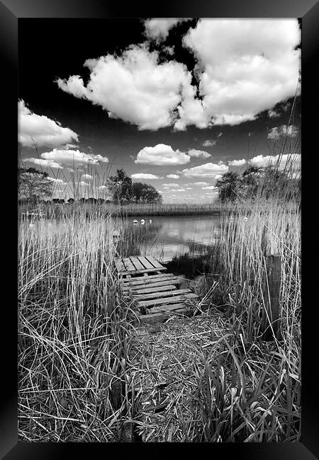 River Frome Framed Print by Tony Bates