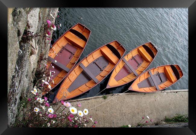 Row Boats Framed Print by Tony Bates