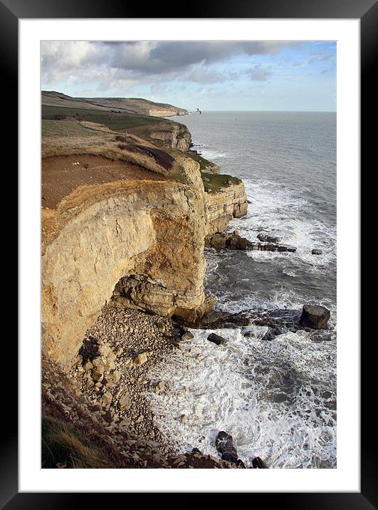 Dorset cliffs Framed Mounted Print by Tony Bates