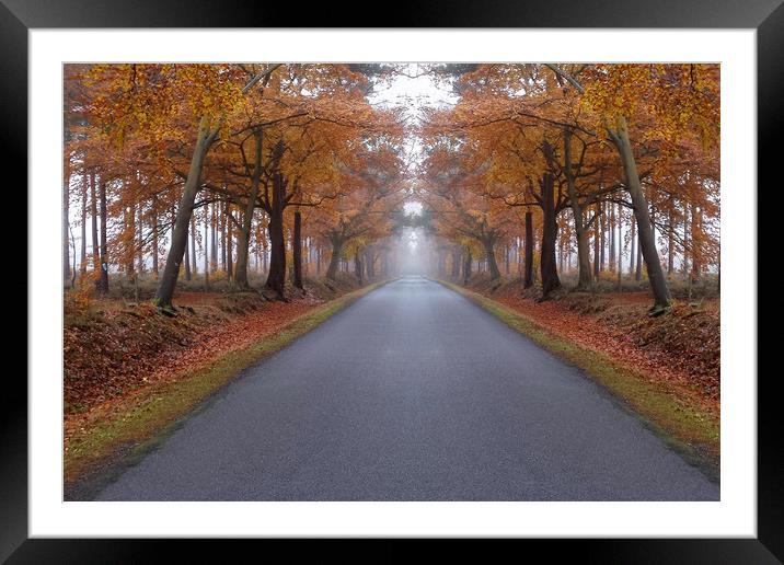 Autumn colours Framed Mounted Print by Tony Bates