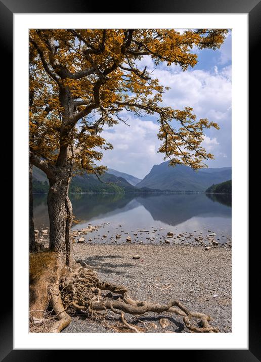 Lake Buttermere Framed Mounted Print by Tony Bates