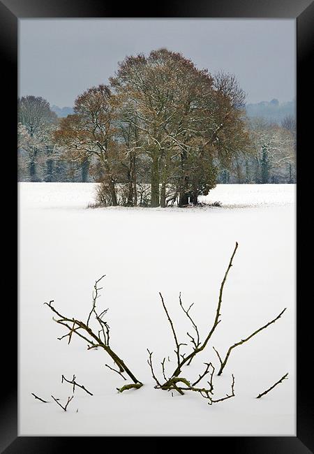 Snow field Framed Print by Tony Bates