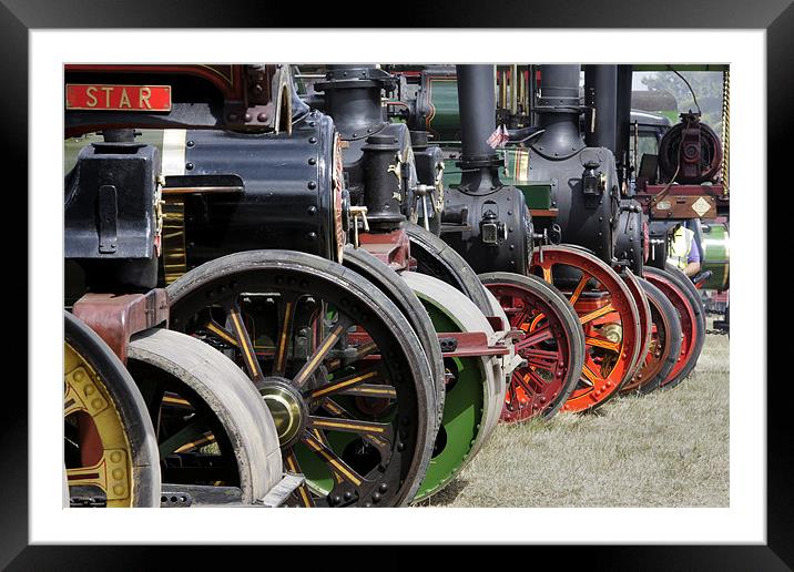 Traction engine line up Framed Mounted Print by Tony Bates