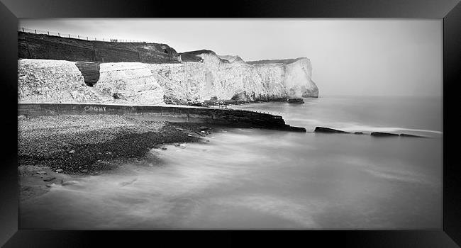 Seaford cliffs Framed Print by Tony Bates