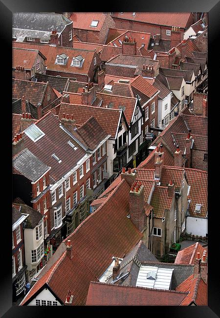 York roof tops Framed Print by Tony Bates