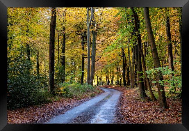 Autumn Colours Framed Print by Tony Bates