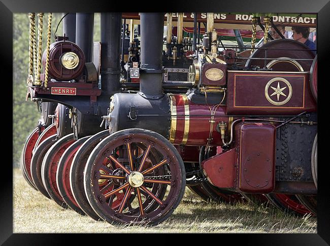 Steam traction engine line up Framed Print by Tony Bates