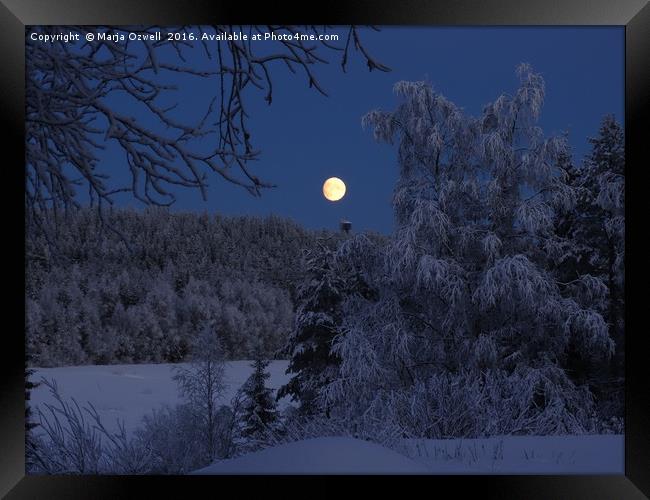 Silent Night Framed Print by Marja Ozwell