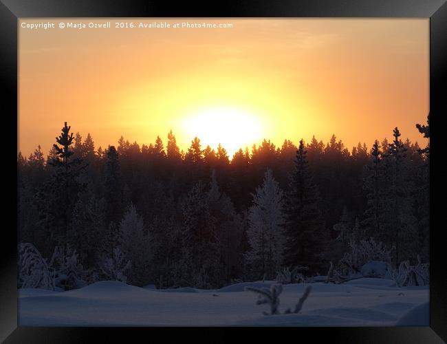 Winter sunshine Framed Print by Marja Ozwell