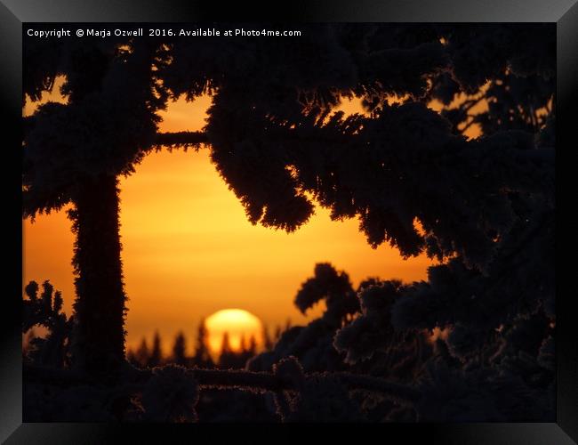 Winter window  Framed Print by Marja Ozwell