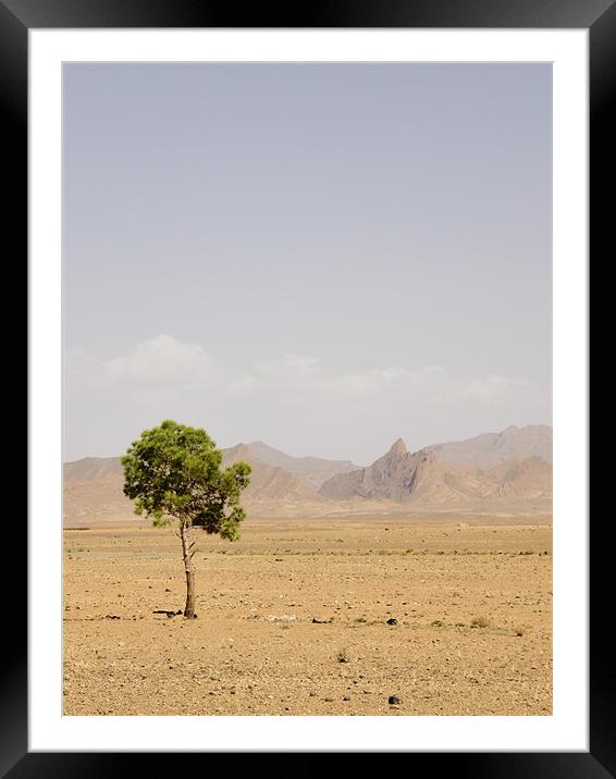 Lonely tree Framed Mounted Print by Marja Ozwell