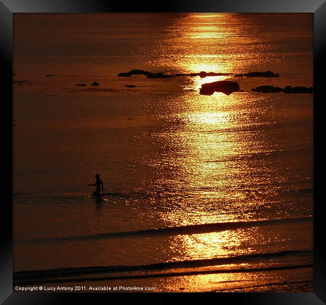 Sunset swimmer Framed Print by Lucy Antony