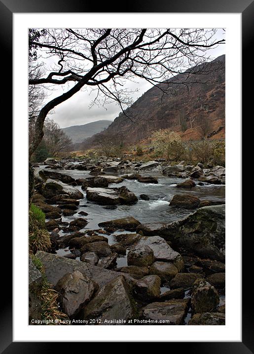 Snowdonia National Park 1 Framed Mounted Print by Lucy Antony