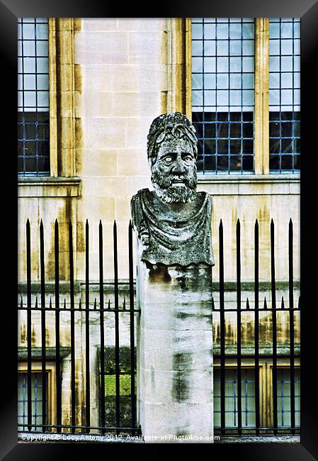 Oxford Head - cross processed Framed Print by Lucy Antony