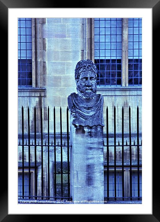 Oxford Head - blue Framed Mounted Print by Lucy Antony