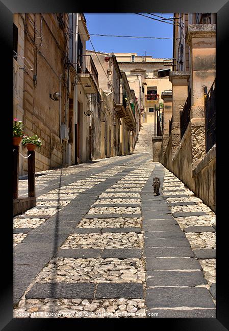 Sicilian alley cat Framed Print by Lucy Antony