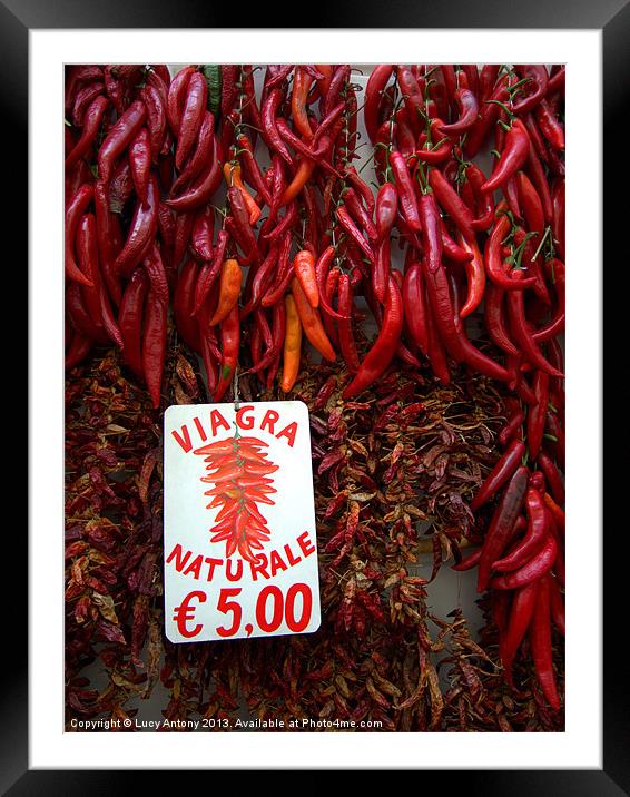 chilli display, Amalfi, Italy Framed Mounted Print by Lucy Antony