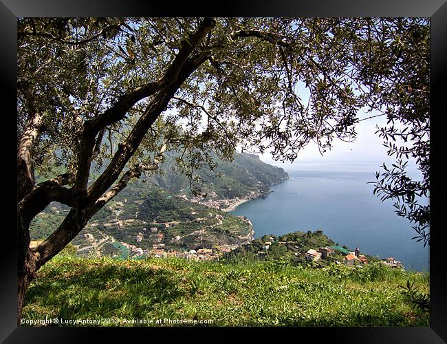 View from Ravello, Italy Framed Print by Lucy Antony