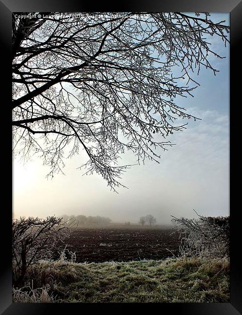  A misty morn in Oxfordshire Framed Print by Lucy Antony