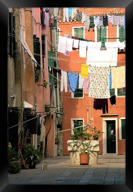 Washday in Venice Framed Print by Lucy Antony