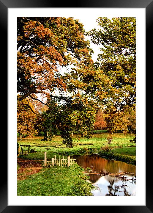 Autumn Scene Framed Mounted Print by Lucy Antony