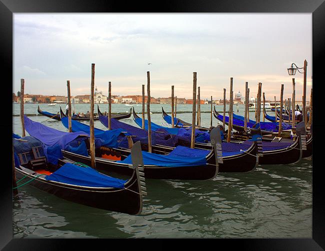 Evening Gondolas in Venice Framed Print by Lucy Antony