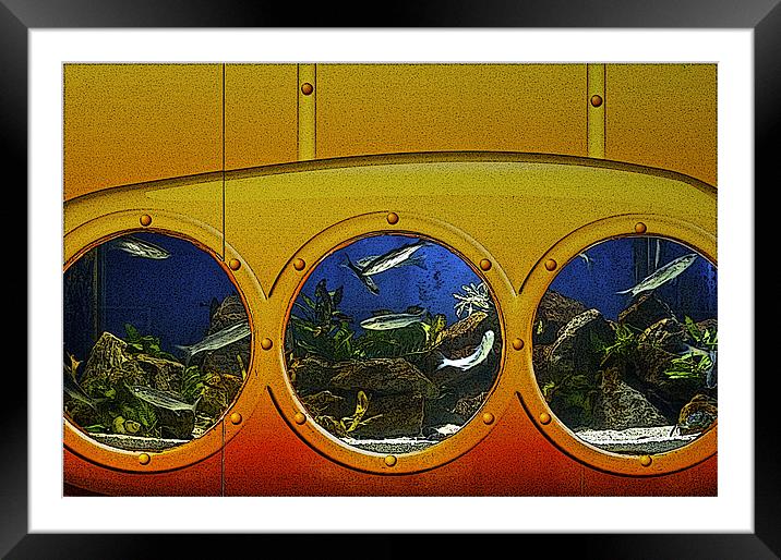 A BIT FISHY Framed Mounted Print by Bruce Glasser