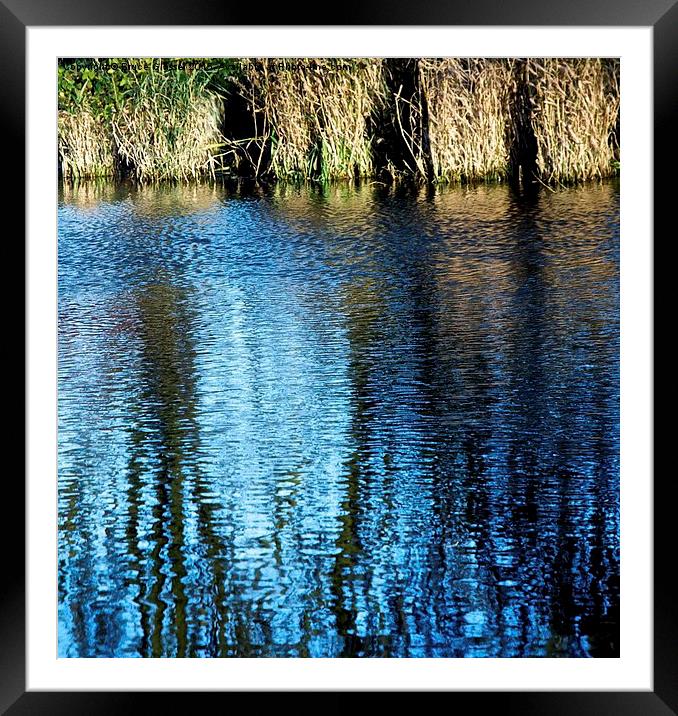 REFLECTIONS Framed Mounted Print by Bruce Glasser