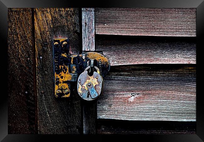 LOCK Framed Print by Bruce Glasser