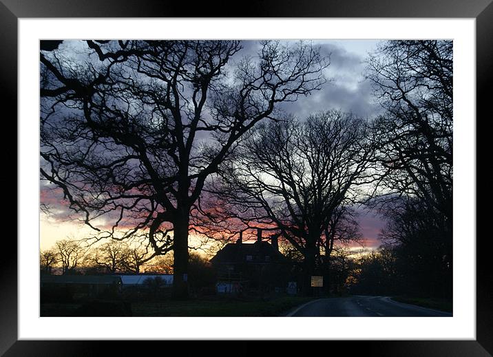 Forest Winter Sunset Framed Mounted Print by Beth Powell