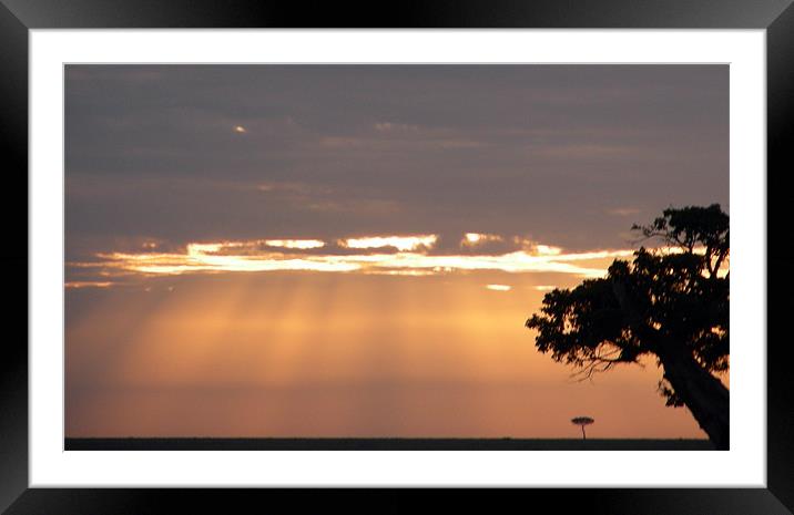 Sunset over plains of Africa Framed Mounted Print by Madeline Harris