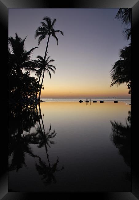 Sunset Reflected in pool in Maldives Framed Print by Madeline Harris