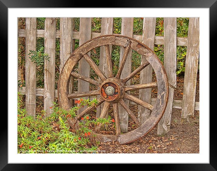 Spare wheel Framed Mounted Print by Chris Thaxter