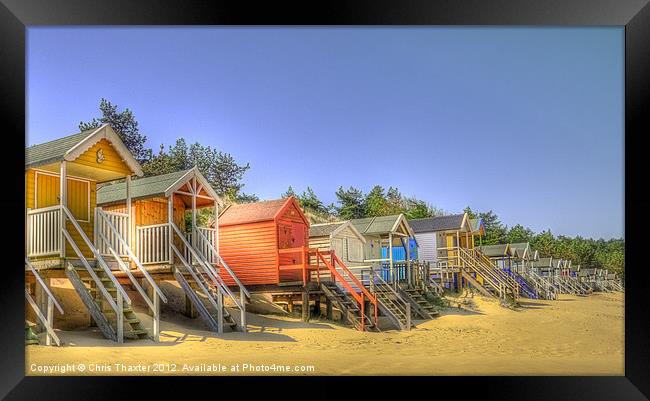 Beach Huts and Pine Trees 3 Framed Print by Chris Thaxter