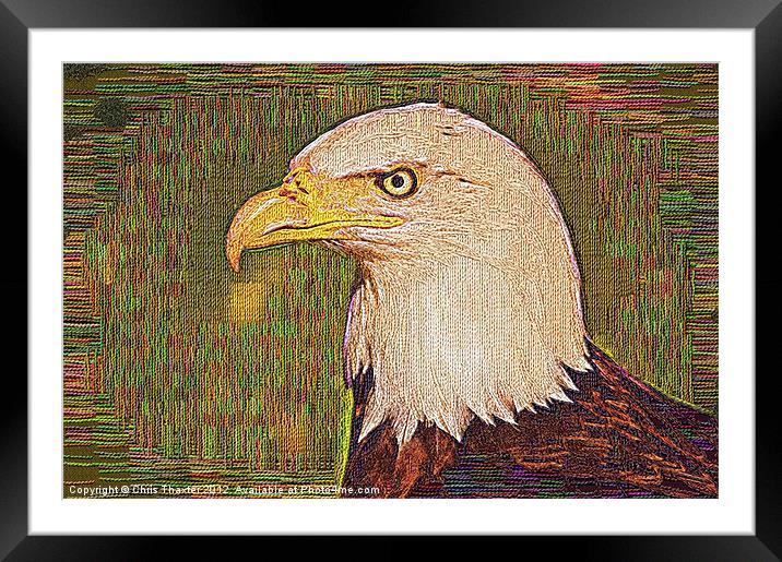 Bald Eagle Embroidered Framed Mounted Print by Chris Thaxter