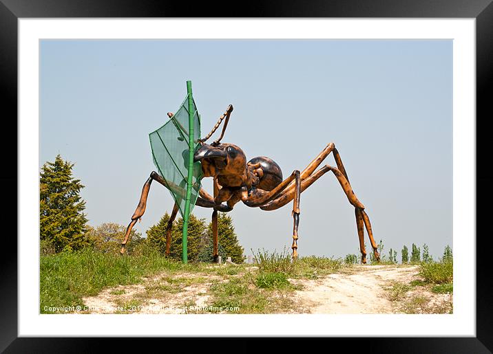 Giant Ant 2 Framed Mounted Print by Chris Thaxter