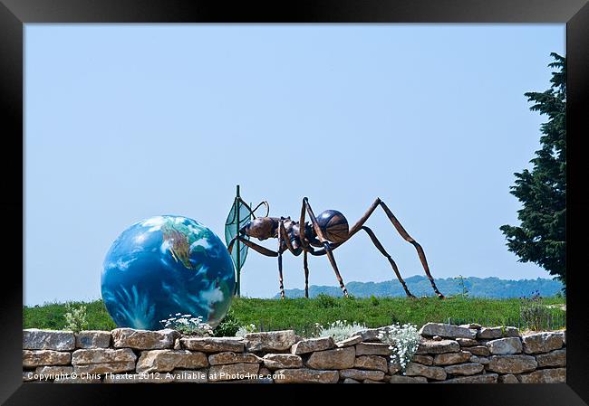 Ant world Framed Print by Chris Thaxter